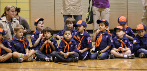 Scottie Tigers pack mtg